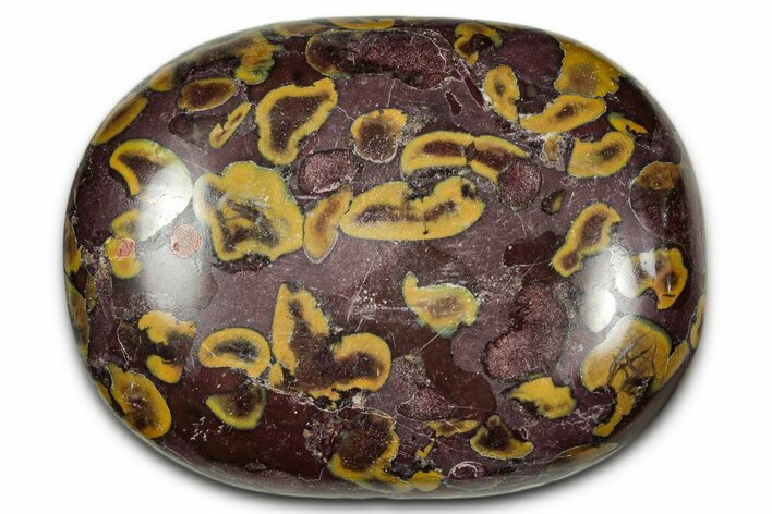 Polished Fruit Jasper Palm Stone - India #343182